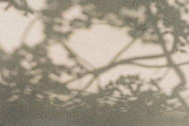 Yaprakların gölgeleri, ılık güneş ışığı altında yumuşak kumlara hassas desenler bırakarak, dışarıda huzurlu bir manzara yaratıyor..