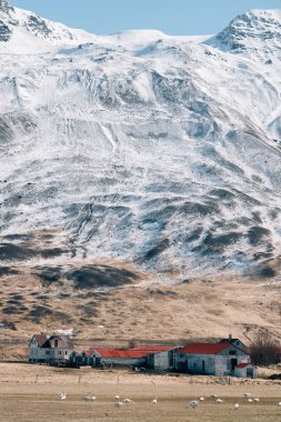 İzlanda'da bir dağın önünde küçük bir ev