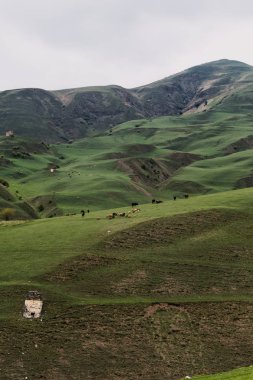 Rusya, Kafkasya, Ingushetia. Mavi gökyüzü arka plan üzerinde Yeşil dağ