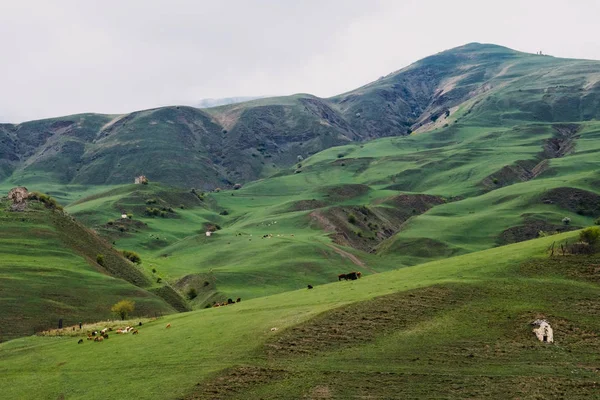 Uzakta dağ zirveleri ile uzak dağlık manzara