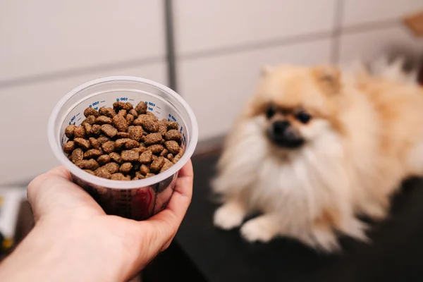 Köpeğin arka planındaki bir tankta köpek maması.