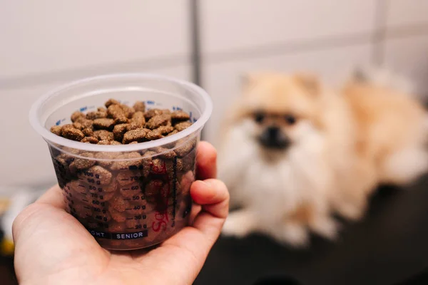 Köpeğin arka planındaki bir tankta köpek maması.