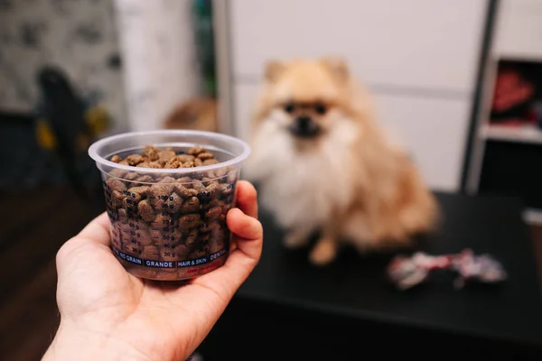 Köpeğin arka planındaki bir tankta köpek maması.