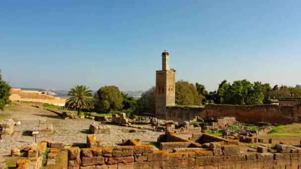 Römische Ruinen der Nekropole von Chellah - mittelalterliche befestigte muslimische Nekropole in Rabat, Marokko — Stockvideo