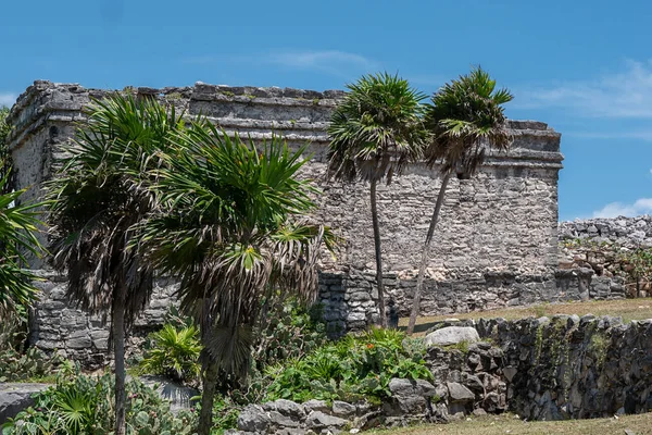 Ruinas Mayas Además Del Mar Caribe Riviera Maya Viajar Por — Foto de Stock