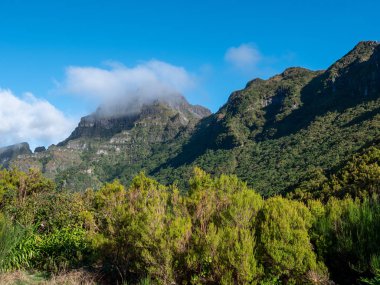Levada yollar güneyindeki Madeira, Portekiz 