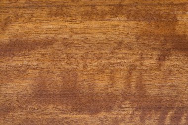 Doğal ahşap yüksek çözünürlüklü doku