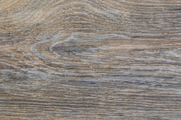 高分辨率天然木材棕色橡木纹理 — 图库照片