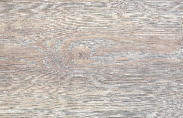 浅棕色高分辨率天然木橡木纹理 — 图库照片