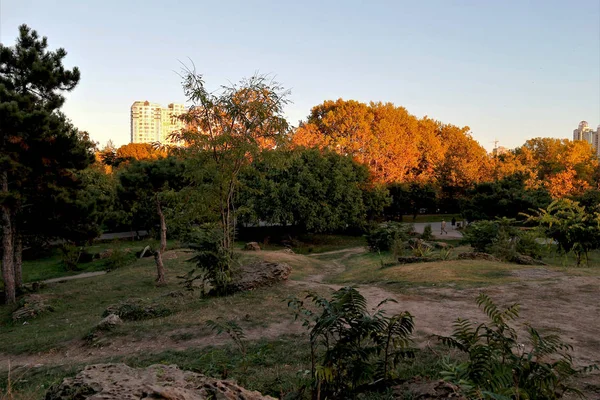Acity parkta sunset.utumn sonbaharda günbatımında Odessa şehir Odessa şehir içinde şehir parkı.