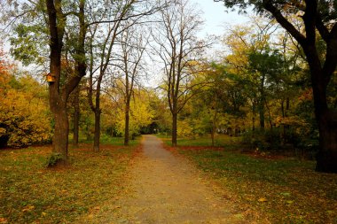 Sonbaharda park yeri.