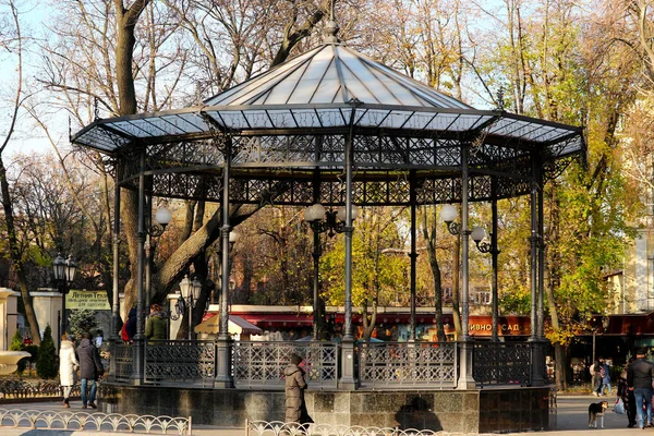 Odessa sonbahar şehir bahçesinde ağaç dikme.