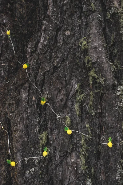 Small lamps on tree. Pineapple shapes