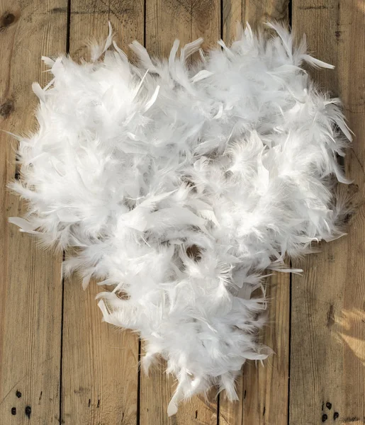 Valentine\'s day heart shape of feather