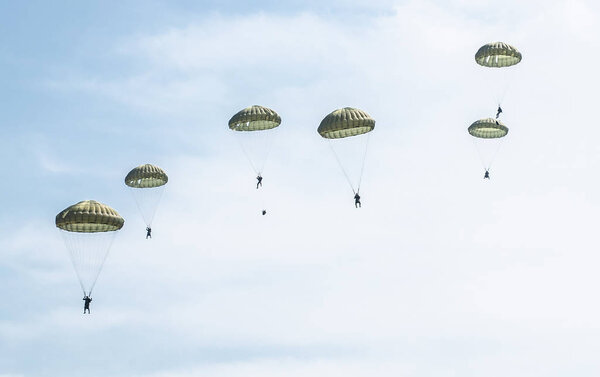 Parachutists jump from a military plane during a military exercise. Many soldiers with parachutes in the sky.