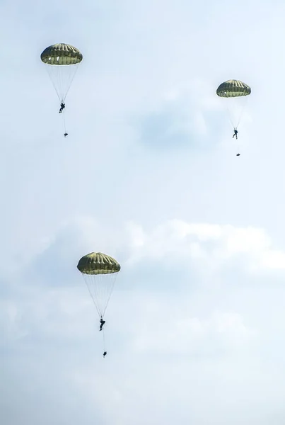 Paracadutisti Saltano Aereo Militare Durante Esercitazione Militare Molti Soldati Con — Foto Stock