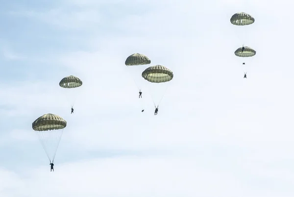 Fallschirmspringer Springen Während Einer Militärübung Aus Einem Militärflugzeug Viele Soldaten — Stockfoto