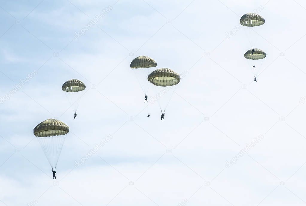 Parachutists jump from a military plane during a military exercise. Many soldiers with parachutes in the sky.