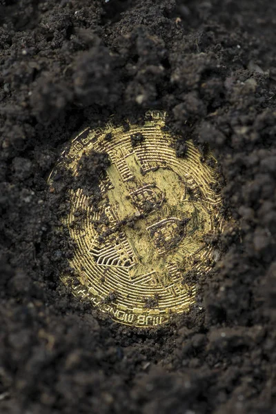 Биткойн Почве Разработка Концепции Криптовалют Желтая Зарытая Монета — стоковое фото