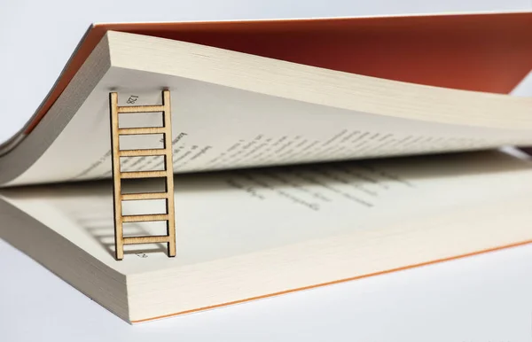 Book Pages Ladder Concept Ladder Book Education Knowledge Small Miniature — Stock Photo, Image