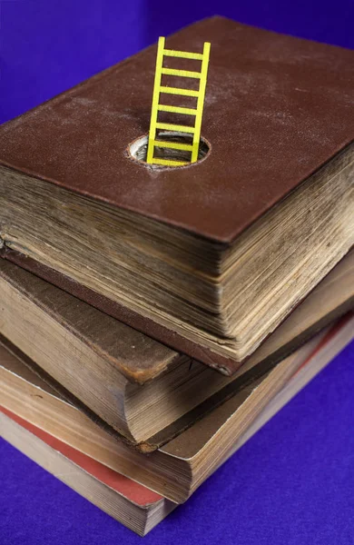 Inneren Des Buches Erscheinen Gestapelte Bücher Und Eine Kleine Leiter — Stockfoto