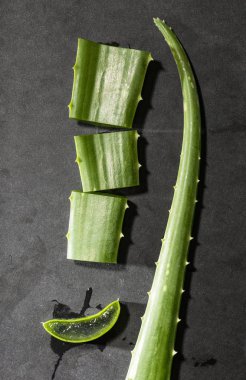 Aloe vera dilimleri karanlık gemide. Sağlık ve güzellik kavramı. Closeup aloe yaprak backlight üstünde kesmek..