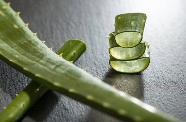 Aloe vera dilimleri koyu arka plan üzerinde. Sağlık ve güzellik kavramı. Arka ışık üzerinde closeup aloe adet.