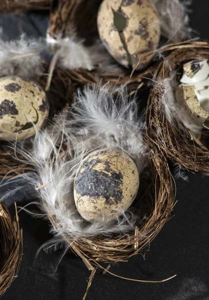 および白い羽が巣の卵 暗い背景に小さな卵をイースター コンセプト — ストック写真