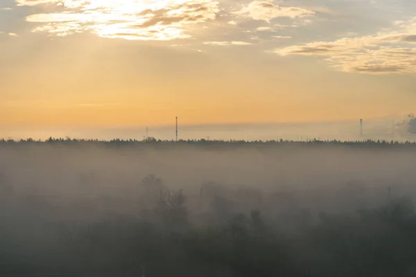 Sunrise on the outskirts of the city. Trees in the fog. On the horizon there are plant pipes and smoke