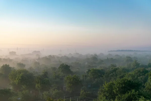 Sunrise on the outskirts of the city. Trees in the fog. On the horizon, power lines are visible