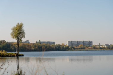 suda evlerin görüntülenmesi. sonbahar gün batımı. parkta göl. ön planda tek ağaç