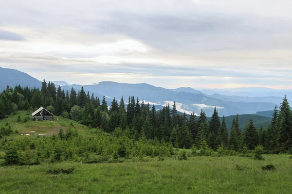 Linda Paisagem Floresta Verão Vista Panorâmica Caminhadas Viagens Livre Conceito — Fotografia de Stock