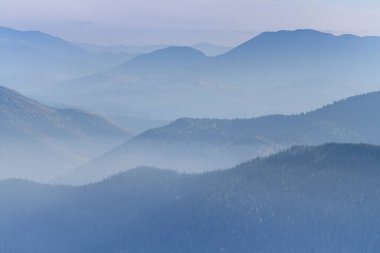 Sisin içindeki dağ ormanı. Yürüyüş konsepti panoramik manzara. Ukrayna Karpatlar, Ukrayna