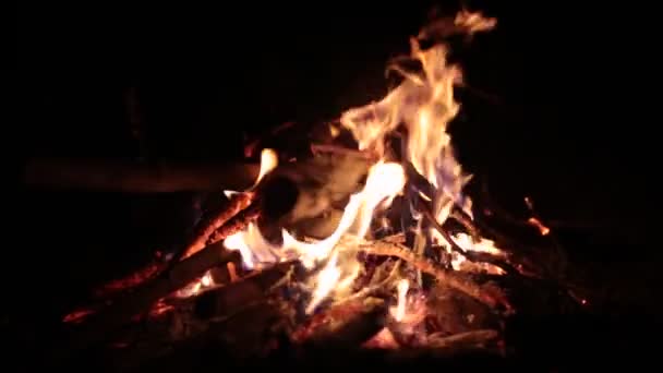 Dallar Yakacak Odun Alevler Ateş Tarafından Yutulur Ocağın Videosu — Stok video