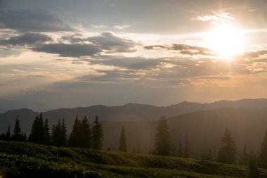 Dağlarda gün batımı. Akşam ışınları çam ağaçlarını delip geçiyor. Karpatlar, Marmaroshchyna, Maramures, Ukrayna