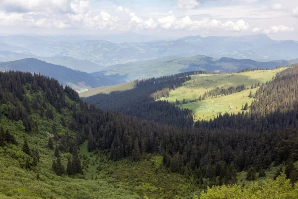 Vista Uma Pequena Aldeia Vale Das Montanhas Polonína Nos Cárpatos — Fotografia de Stock