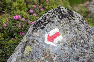 Kırmızı ok, bir kayanın üzerindeki turist yürüyüş rotasını gösteriyor. Açık havada seyahat kavramı