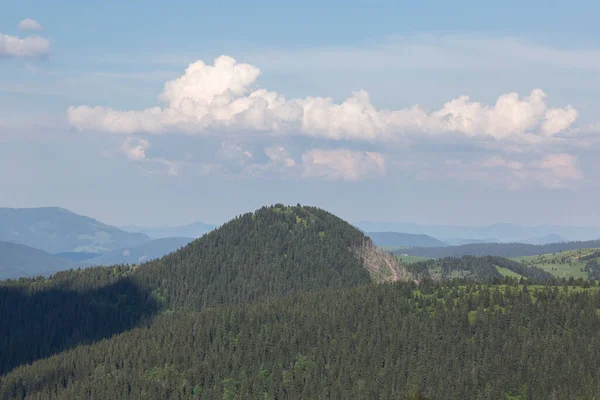 Dağın Yuvarlak Tepesi Ladin Ormanlarıyla Kaplı Harika Bir Ormanlık Bölge — Stok fotoğraf