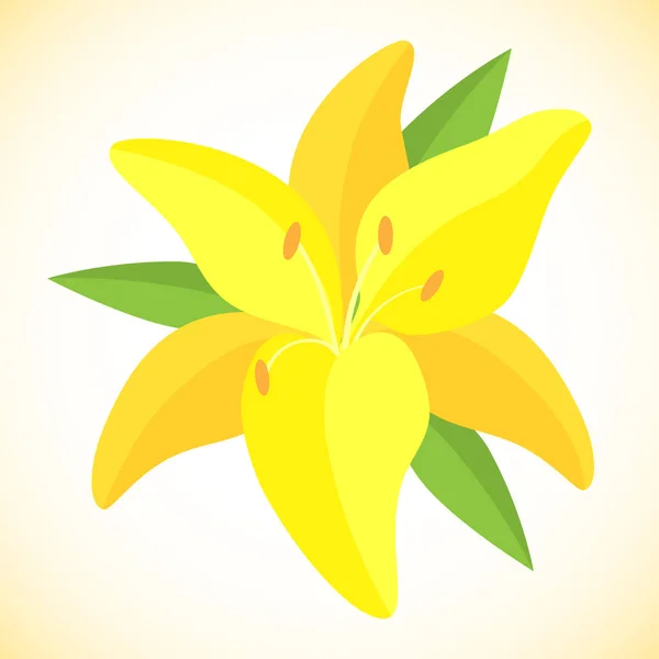 Ilustración vectorial aislada. Flor de lirio tigre amarillo . — Vector de stock