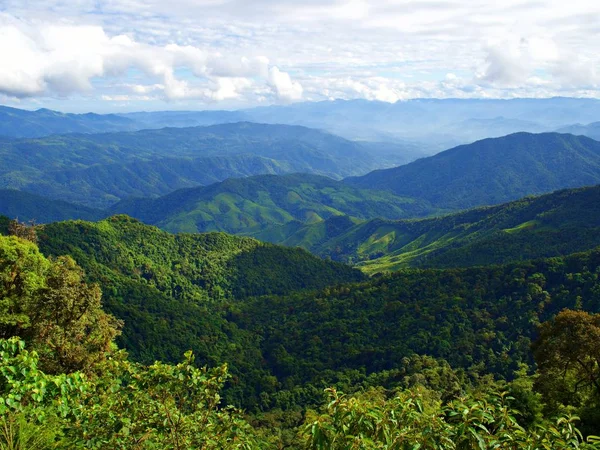 Uma Bela Paisagem Ondulatória Montanha Verde Que Mostra Beleza Natureza Imagens De Bancos De Imagens