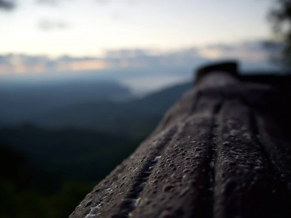 Nahaufnahme Auf Den Morgentau Der Auf Den Waldgang Mit Nebel — Stockfoto