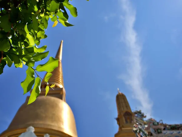 Ramo Árvore Com Pagode Dourado Com Blusky Linha Nuvem Bangkok — Fotografia de Stock