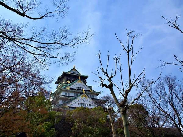 Castillo Osaka Las Ramas Los Árboles Con Cielo Azul Osaka —  Fotos de Stock