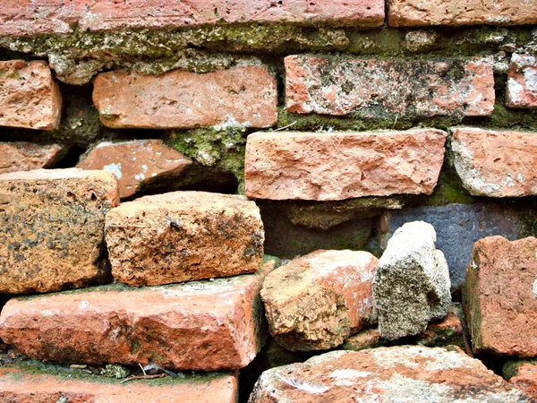 Focus Shot Ancient Brick Wat Chaimongkol Temple Ayutthaya Thailand — Stock Photo, Image