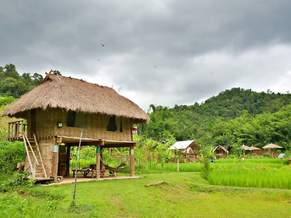 Casa Campo Bambu Com Fazenda Arroz Verde Sob Céu Nublado — Fotografia de Stock