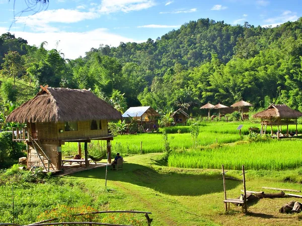 Landskapsbilden Lantstugan Den Gröna Mustaschdalen Med Risfält Chiang Mai Thailand — Stockfoto