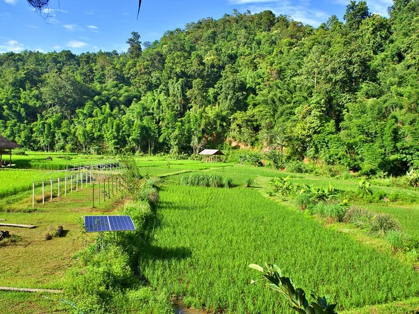 Placa Energia Solar Com Paisagem Moutain Verde Campo Arroz Chiangmai — Fotografia de Stock