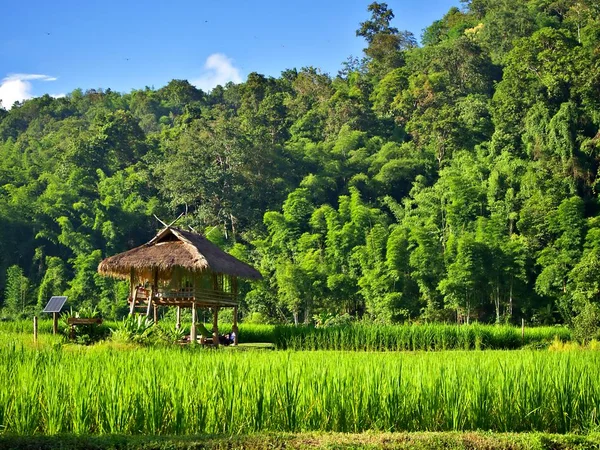 Paesaggio Del Cottage Rurale Piastra Solare Autoefficiente Con Risaia Chiangmai — Foto Stock