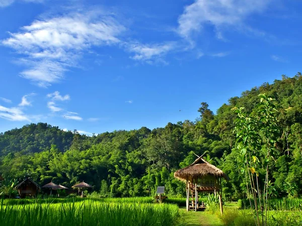 Landskap Stugan Rissvälten Den Blå Himlen Chiangmai Thailand — Stockfoto