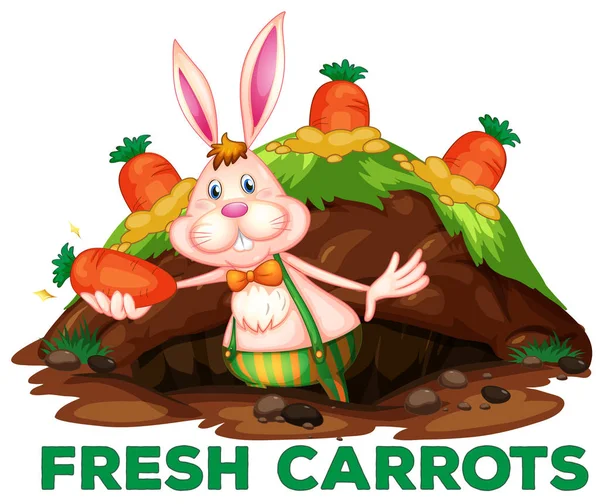 Lindo Conejo Zanahorias Ilustración — Vector de stock